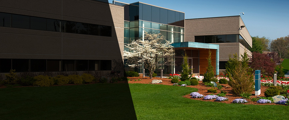 Mission Viejo Landscapers