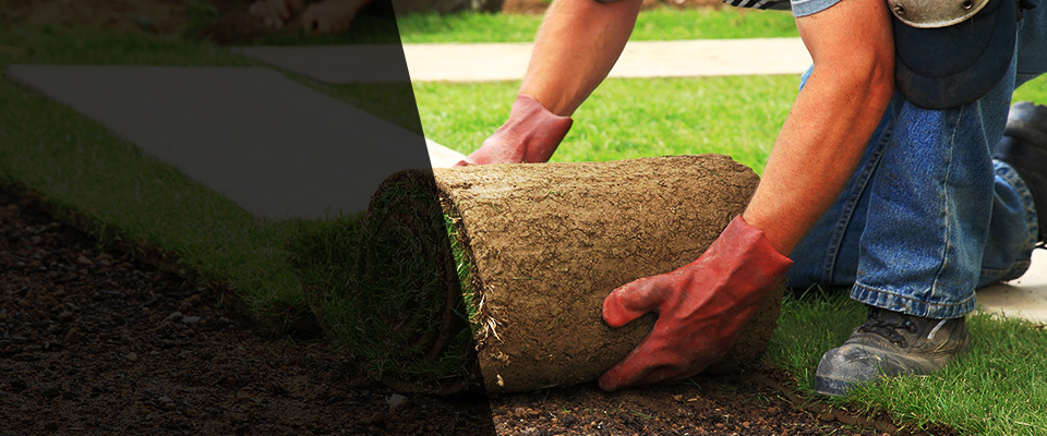 Mission Viejo Landscapers